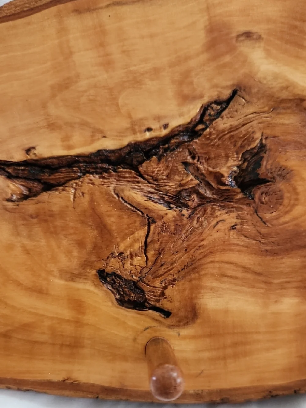 Box Elder Tree Solid Wood Holder